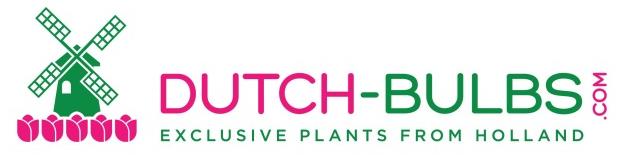 Dutch-bulbs.com - eksklusiivisia kukkasipuleita ja kasveja Hollannista.- Logo - reviews